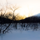 abiskomountains avatar