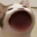 abiss-king-blog avatar