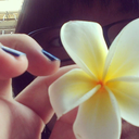 abiteof-everything avatar