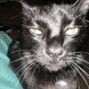 abitofmadnessandchaos avatar