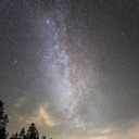 abittybitofsunshine avatar