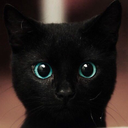 ablack-cat avatar