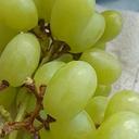 able-seaman-alex avatar