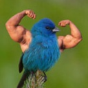 aboardellaminas avatar