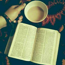 abookishfangirl avatar