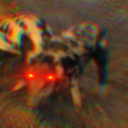 aboriginal-not-native avatar