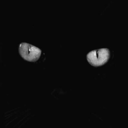 abottleofcyanide-blog avatar