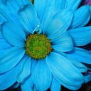 abottombackhaters avatar