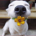 about-animalslife avatar