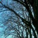 about-more-than-just-surviving avatar