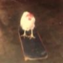 aboutchicken298 avatar