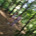 aboutcoldbooks avatar