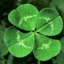 aboutdifferentthings avatar