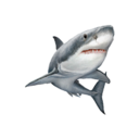 abouthappybooks avatar