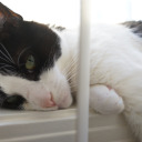 aboutlove0912 avatar