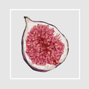 aboutsyconium avatar