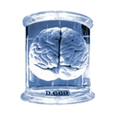 aboutthebrain avatar