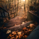 aboutwhatever avatar