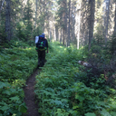 above-all-shadows-rides-the-sun avatar