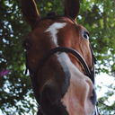 abphotography1 avatar