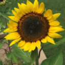 abreathlessword avatar