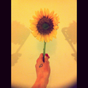 abriannaa-blog avatar