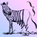 abrokenzebra avatar