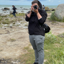 abschiedskuss avatar