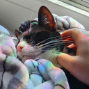 absent-alexjay avatar