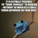 absolute-insanity-of-harleyquin avatar