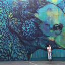 absolutefreeedom avatar