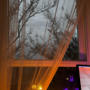 absolutely-basted avatar