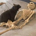 absolutely-human avatar