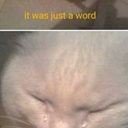 absolutely-nothing00 avatar