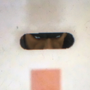 absolutely-solid-collective avatar