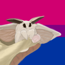 absolutelyamoth avatar