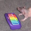 absolutetroglodyte avatar