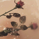 absolutevodkaa avatar