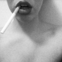 absorbdarkness avatar