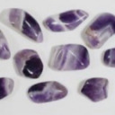 absoultelyinsane avatar