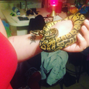 absractoddity avatar