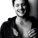 abstract-turtle avatar