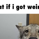 abstractdionysus avatar