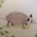 abstractfondness avatar