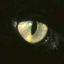 abstractforallmankind avatar