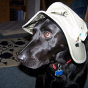 absurdmythology avatar