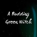 abuddinggreenwitch avatar