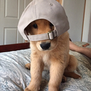 abunchoflaughs avatar