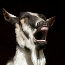 abunchofstuffilike avatar