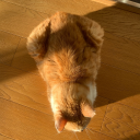 abustofpallas avatar